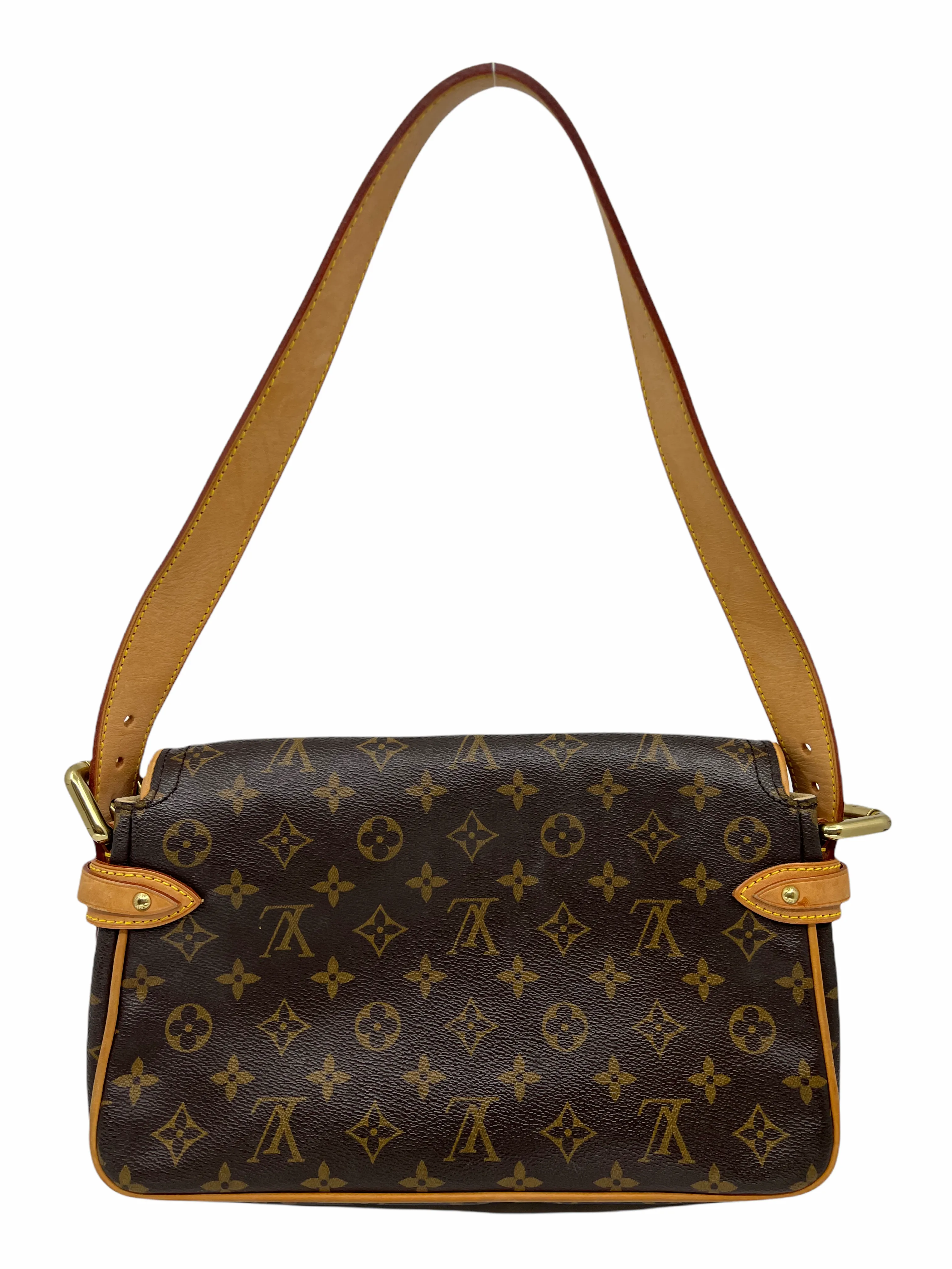 Louis Vuitton Monogram Hudson PM Bag