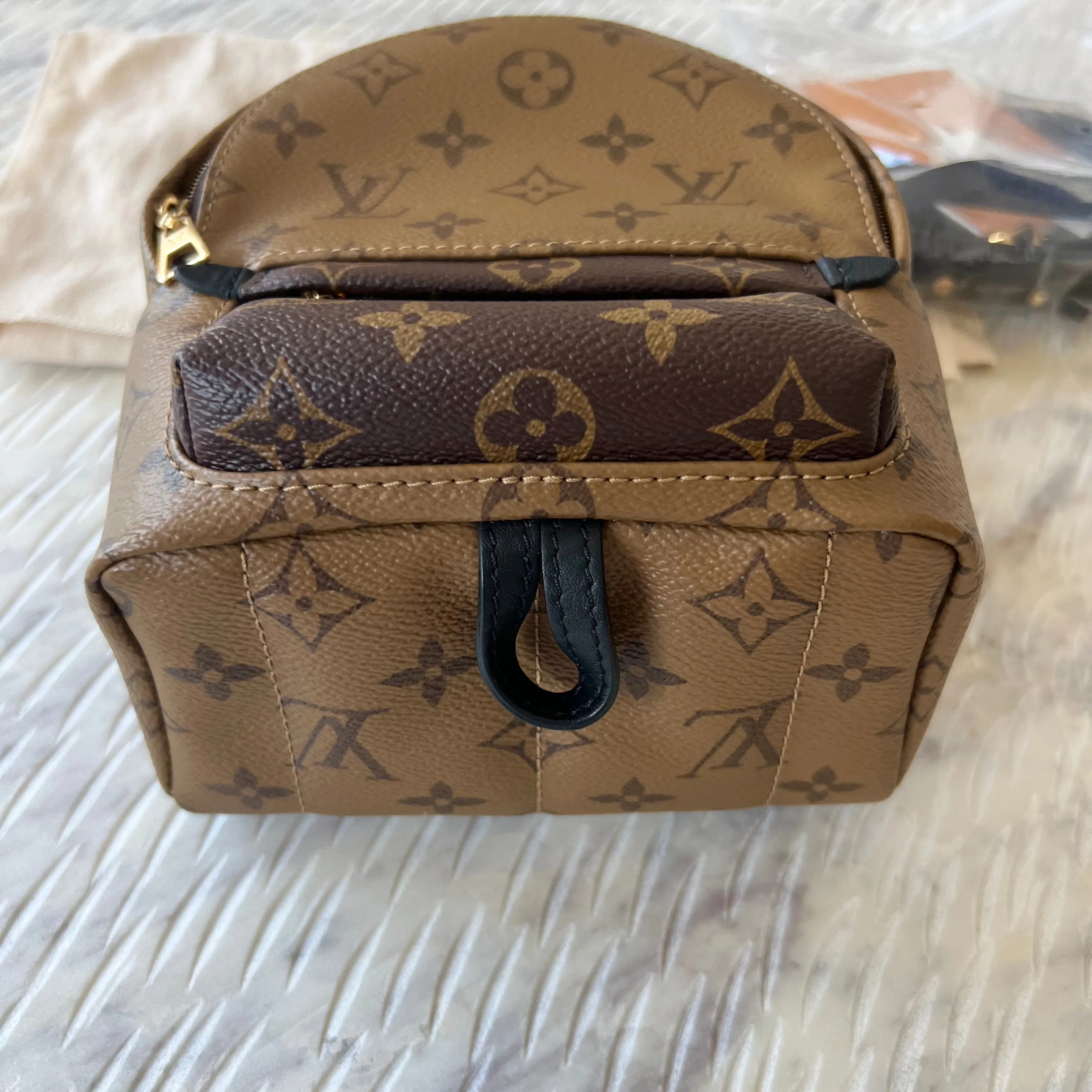 Louis Vuitton Reverse Monogram Palm Springs Mini Backpack