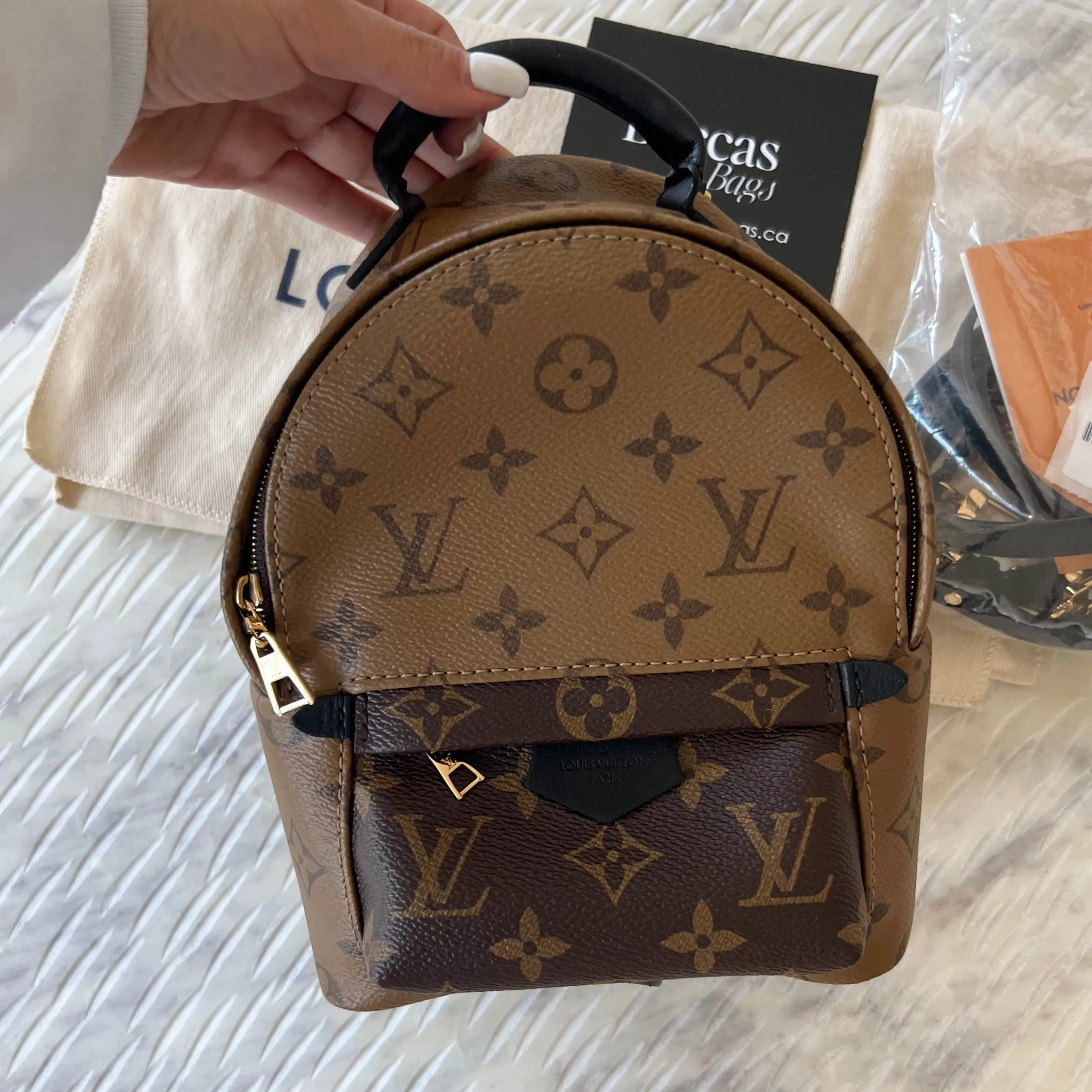 Louis Vuitton Reverse Monogram Palm Springs Mini Backpack