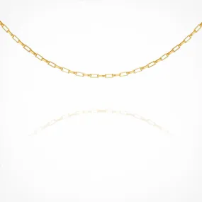 Nero Chain Necklace - Gold