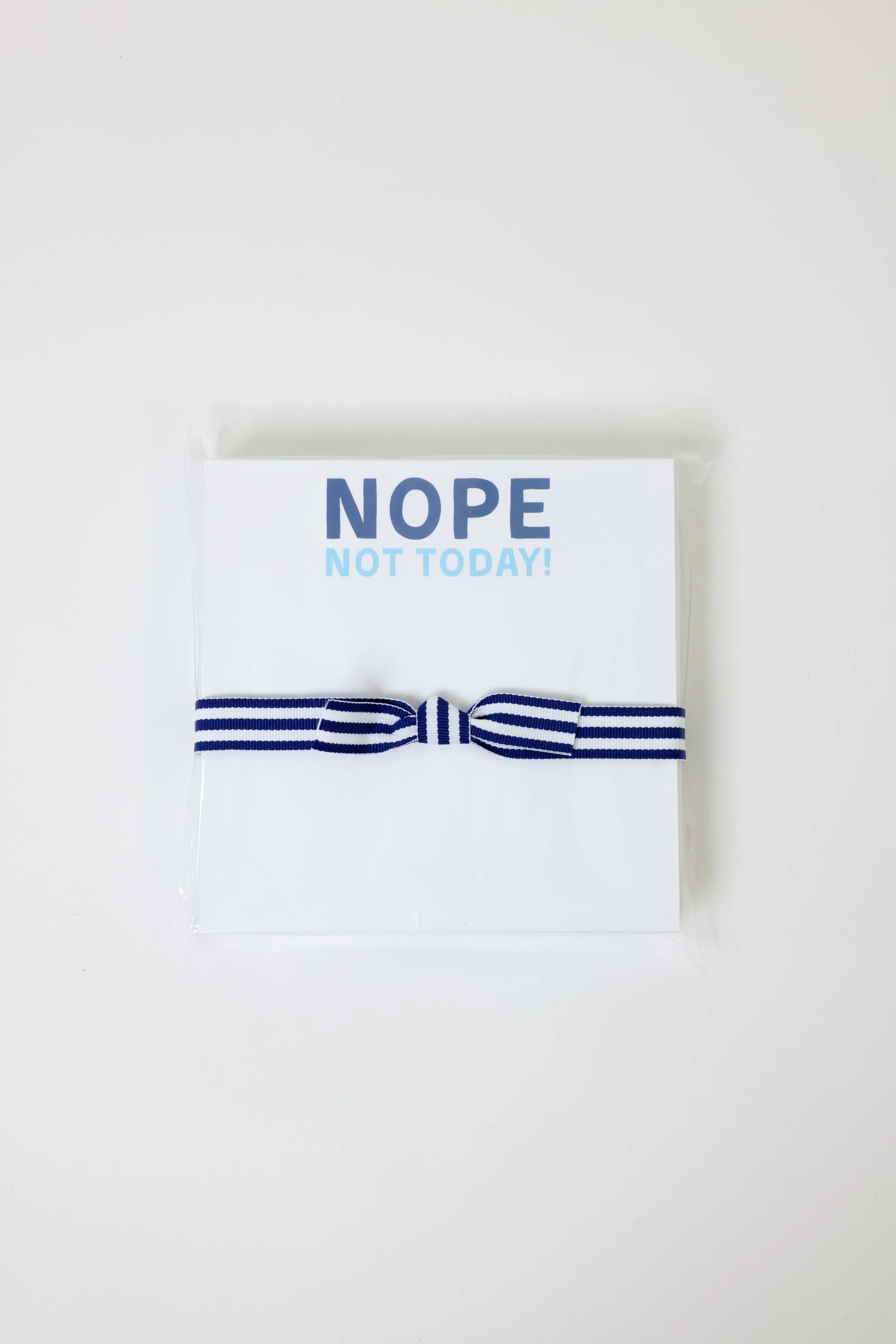 Nope Not Today Chubbie Notepad