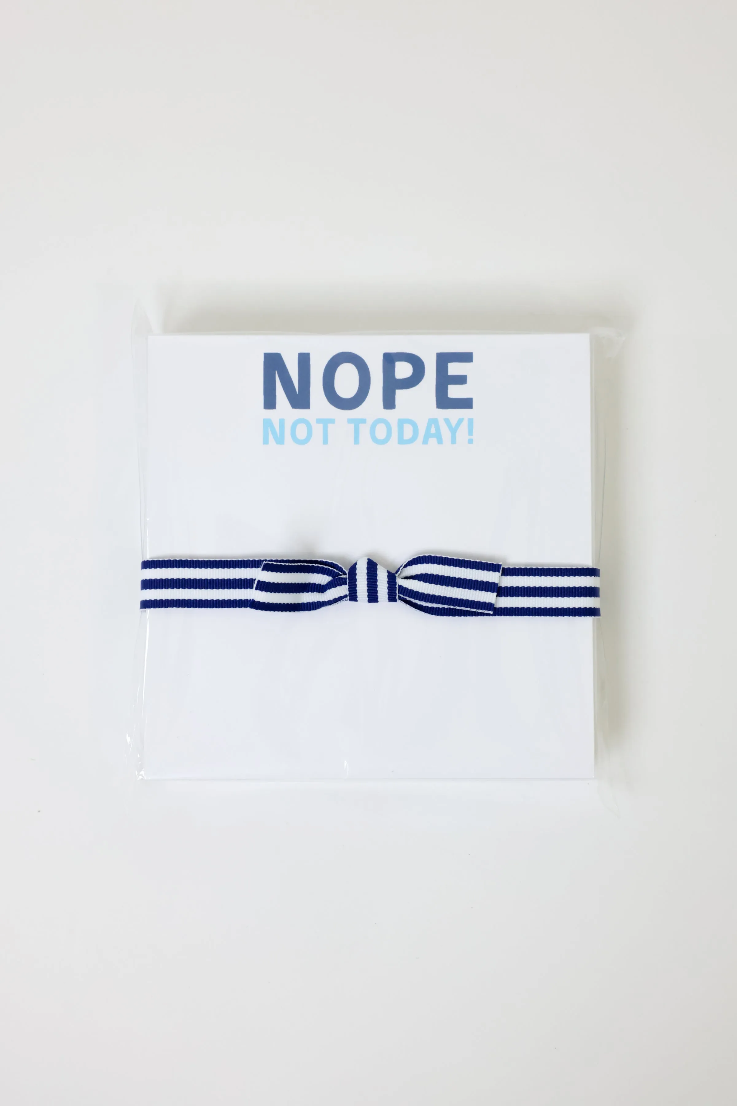 Nope Not Today Chubbie Notepad