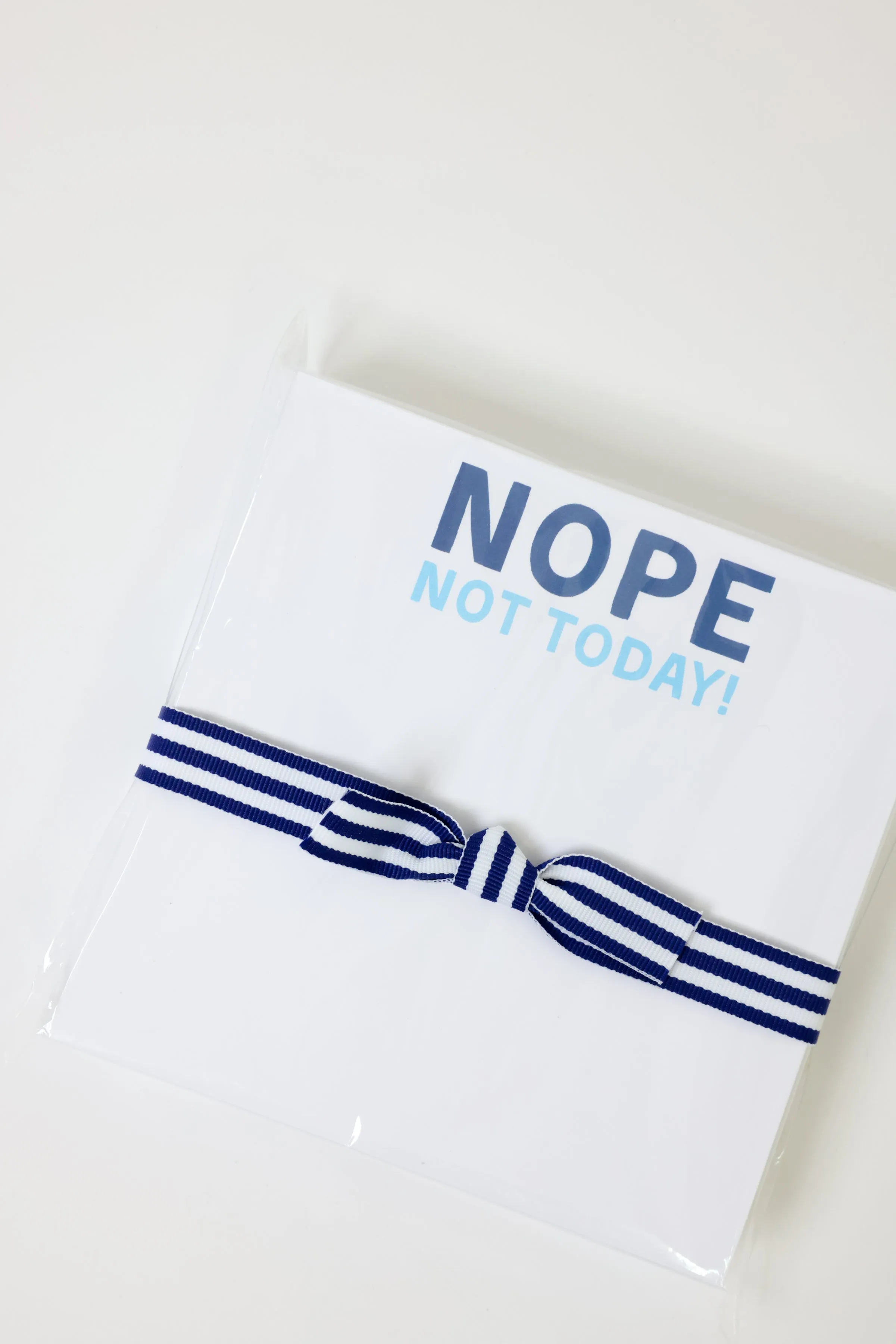 Nope Not Today Chubbie Notepad