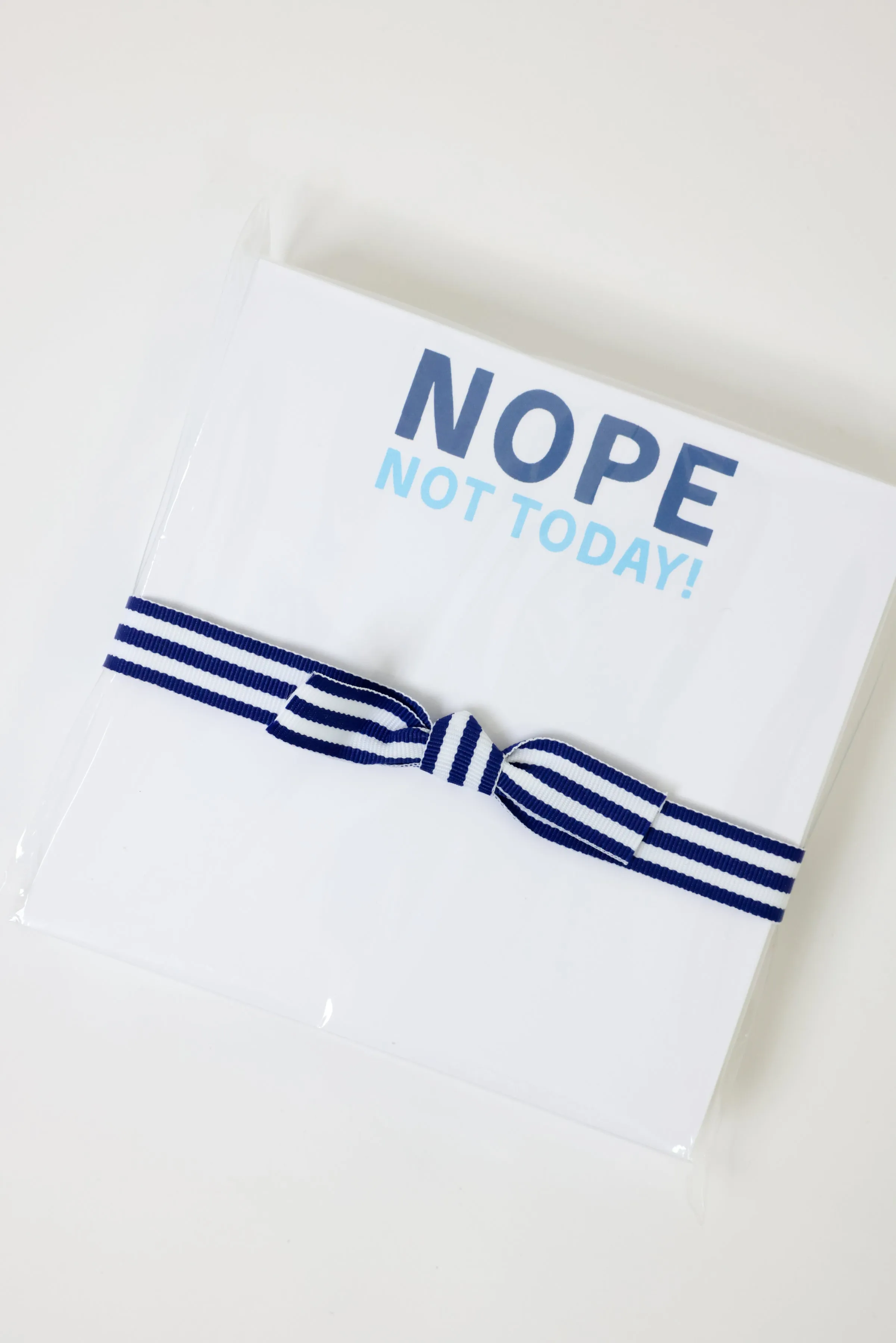 Nope Not Today Chubbie Notepad